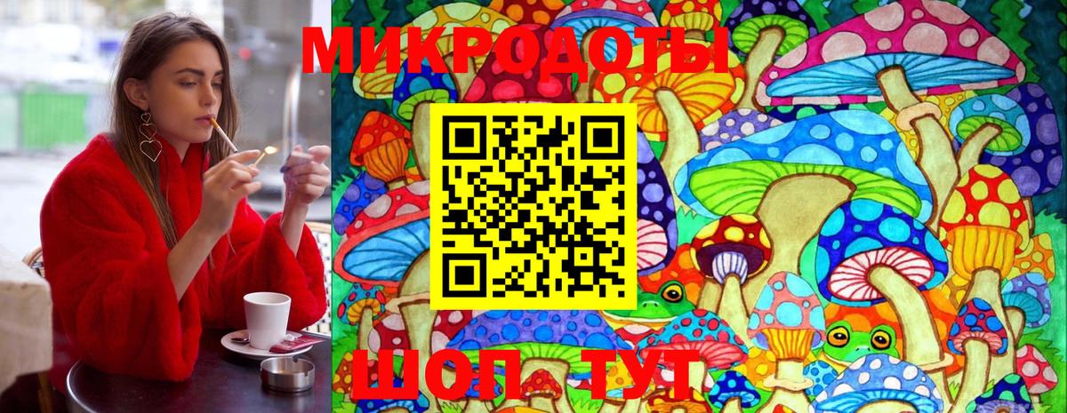 Камышлов  сколько стоит  Вход с VPN  Псилоцибиновые грибы ЛСД 